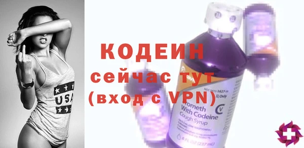 СК Пересвет