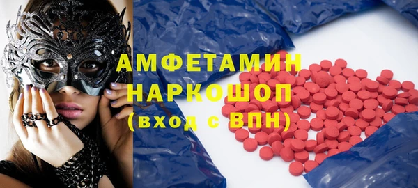 СК Пересвет