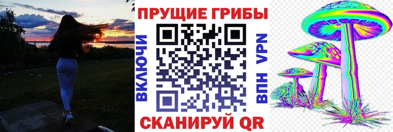 где продают Суоярви Псилоцибиновые грибы Psilocybine cubensis